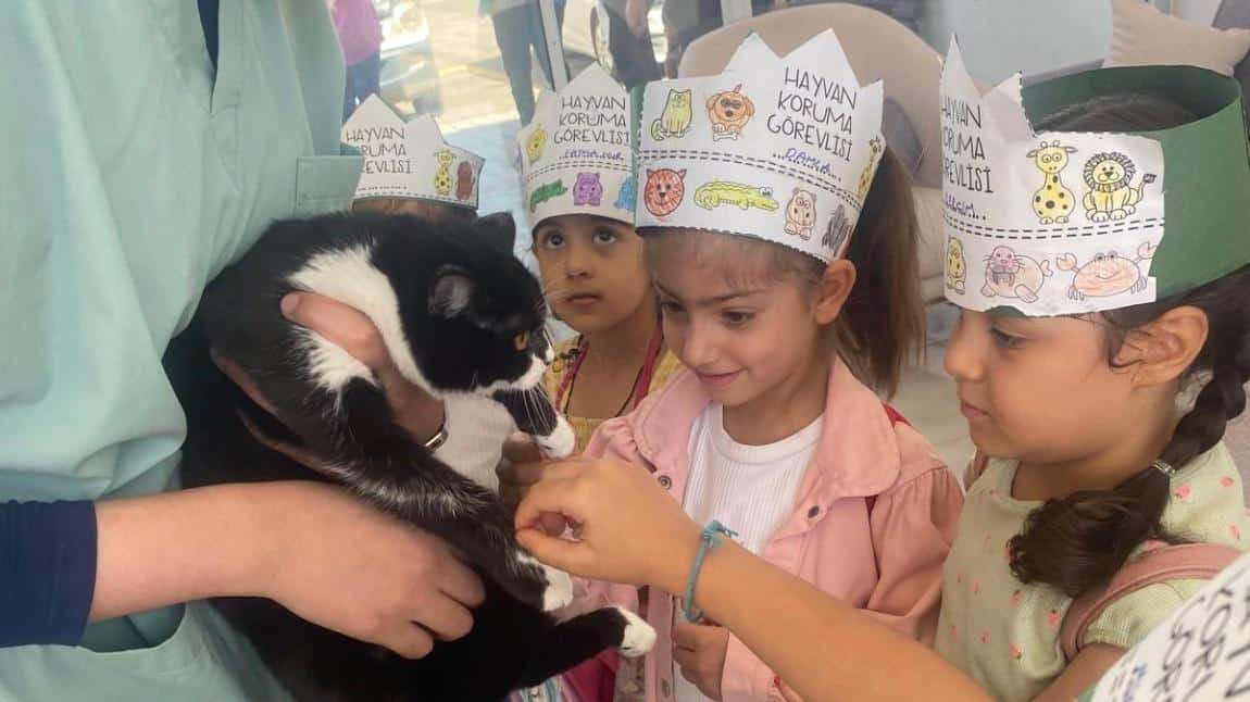 Öğrencilerimizden Hayvan Barınağına Ziyaret